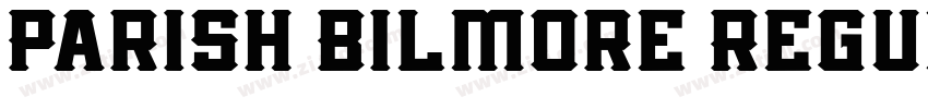 Parish Bilmore Regul字体转换